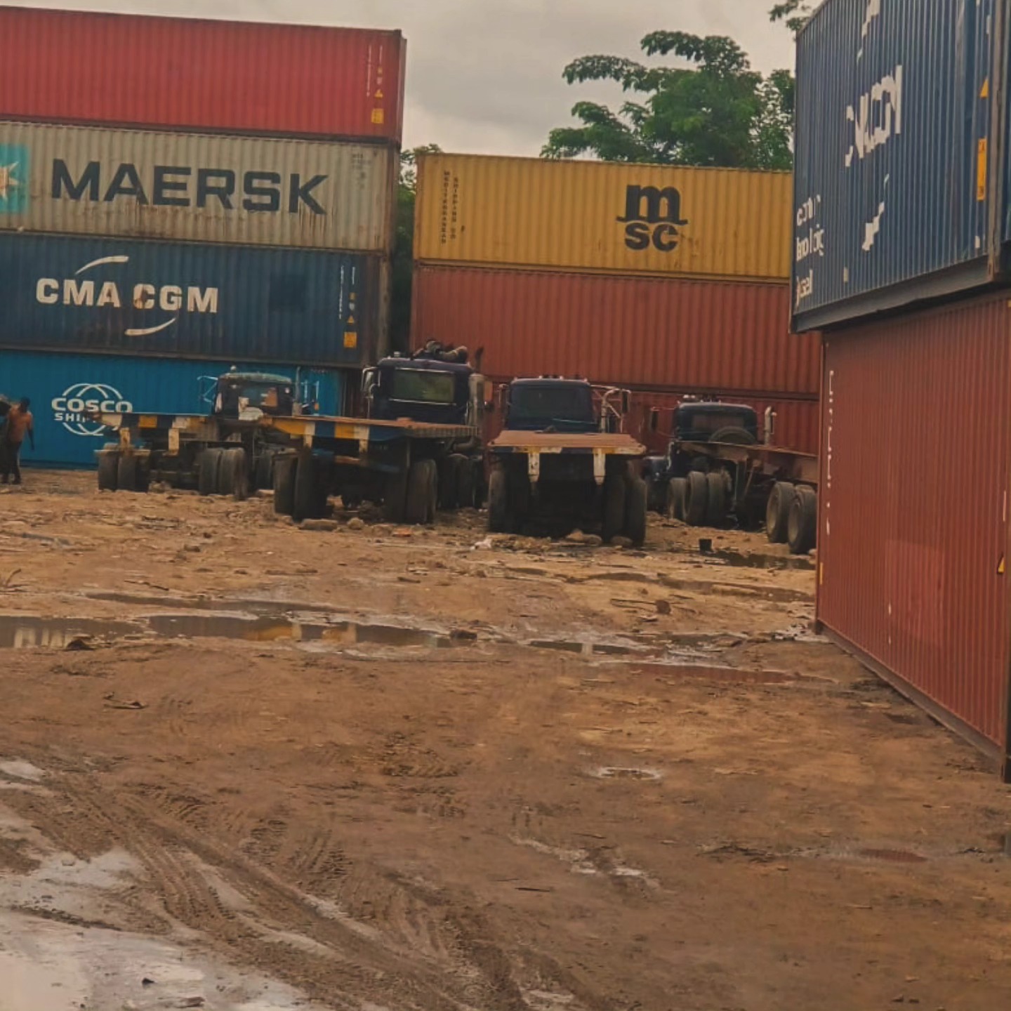 Stevedoring